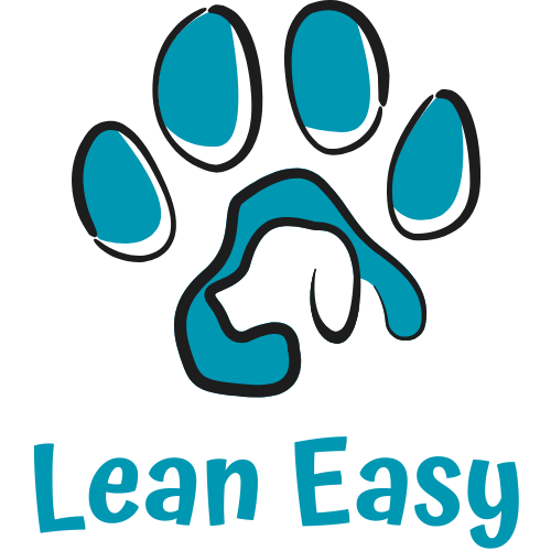 LeanEasy